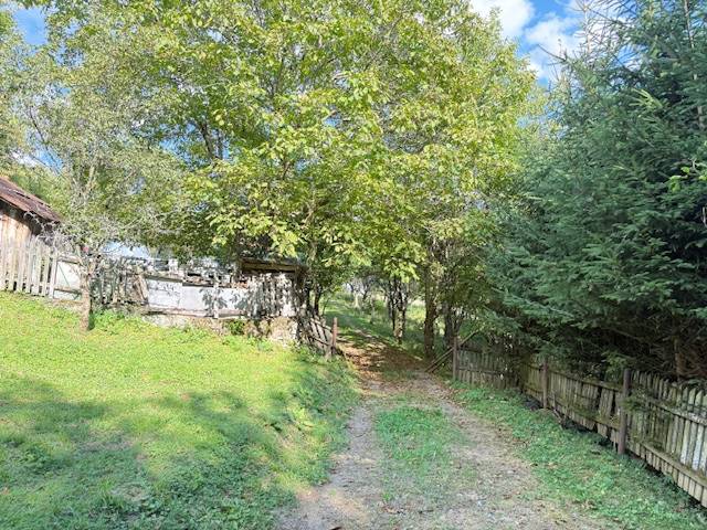 Der Weg zur Hütte in Horná Mariková, gesäumt von Bäumen und einem Zaun.
