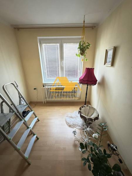 Ein Zimmer mit einem Holzboden, einer Pflanze und einer rosa Lampe.