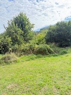 Grünflächen und Bäume auf dem Grundstück eines Einfamilienhauses in Krivosúd-Bodovka.