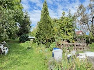 Garten bei einem Einfamilienhaus in der Straße Krivosúd - Bodovka in Krivosúd-Bodovka mit viel Grün.