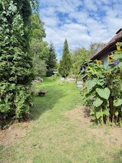 Ein Garten hinter einem Einfamilienhaus in Krivosúd-Bodovka mit blühenden Pflanzen und Grünflächen.