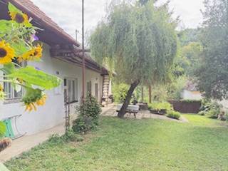 Ein Einfamilienhaus in Krivosúd-Bodovka mit einem gepflegten Garten und einer Bank unter dem Baum.