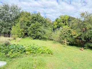 Der Garten des Einfamilienhauses in Krivosúd-Bodovka, umgeben von Grün und Bäumen.