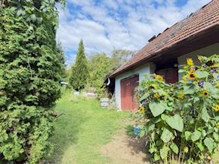Ein Einfamilienhaus in Krivosúd-Bodovka mit roten Türen und Sonnenblumen im Garten.