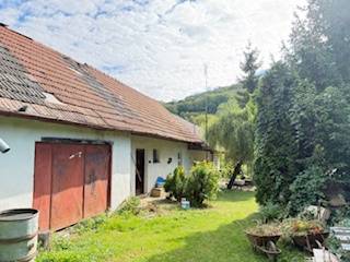 Der Hof eines Einfamilienhauses in Krivosúd-Bodovka mit einer Garage und einem Garten voller Vegetation.