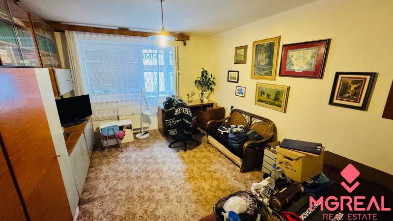 Wohnzimmer in einer 3-Zimmer-Wohnung mit Dekorationen, Möbeln und einem Boden in Holzoptik.