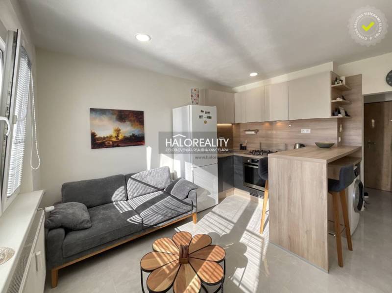 Wohnbereich einer Einzimmerwohnung mit Küche und Sofa, Boden mit Holzdekor.