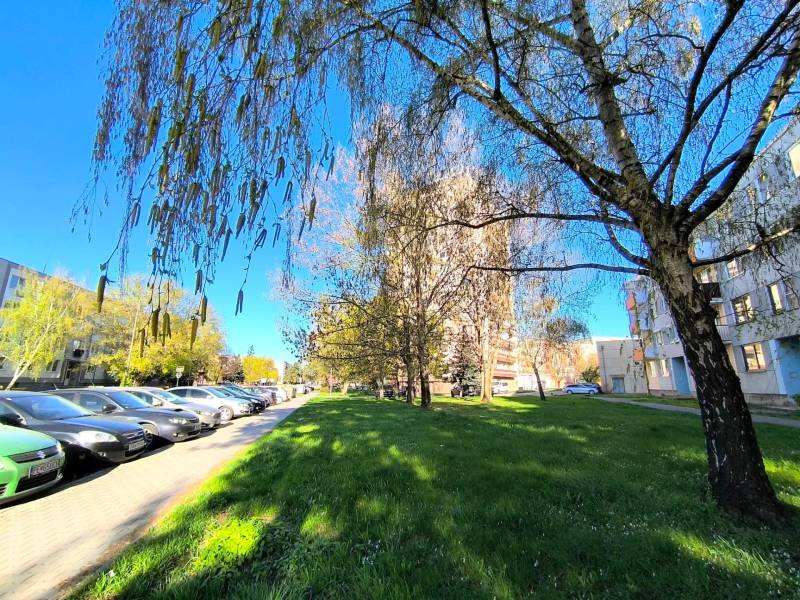 Bäume an der Straße Veľká Okružná in Partizánske vor einer 3-Zimmer-Wohnung, Autos entlang der Straße geparkt.