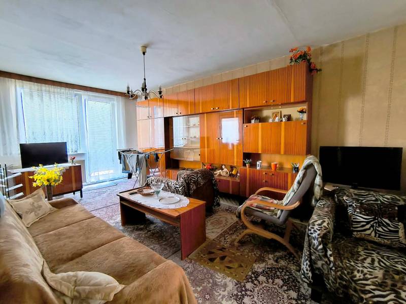 Wohnzimmer in einer 3-Zimmer-Wohnung mit rustikalen Möbeln und einem auffälligen Teppich.