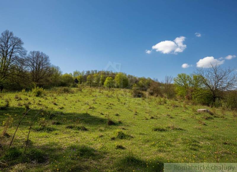 Grüner Hang mit verstreuten Bäumen und blauem Himmel in der Umgebung von Krupina, ideal für Baugrundstücke - Wohnen.