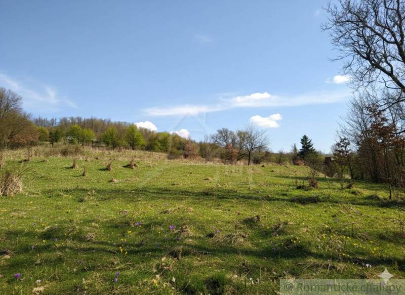 Wiese in Krupina für Grundstücke - Wohnen, mit Blumen und gepflegtem Grün.