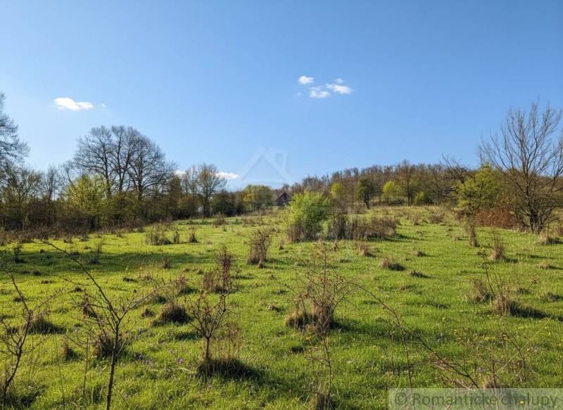 Frische Wiese mit vereinzelten Bäumen auf Wohnbaugrundstücken in Krupina.