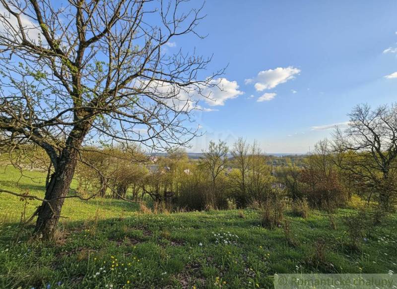 Blick auf blühende Wiesen und Bäume mit Aussicht auf Krupina, Grundstücke - Wohnen.