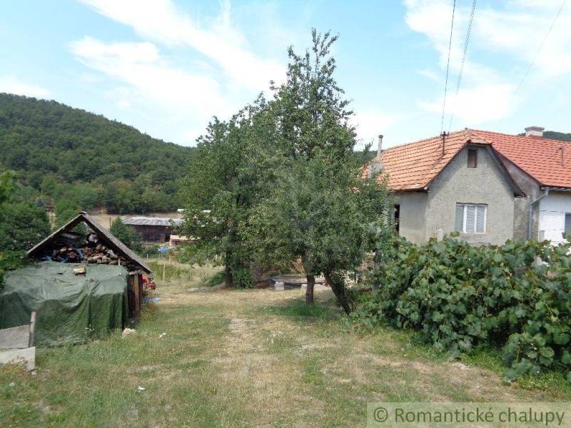 Ein Einfamilienhaus in Šiatorská Bukovinka mit Obstbaum, Weinrebe und Holzschuppen in der Nähe des Waldes.