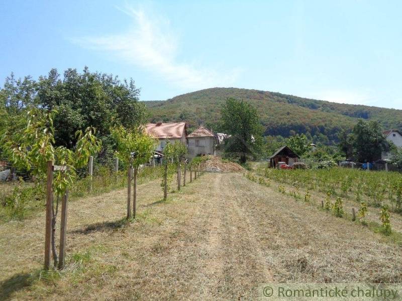 Ein Einfamilienhaus in Šiatorská Bukovinka mit einem großen Garten und Weinberg, umgeben von Natur.