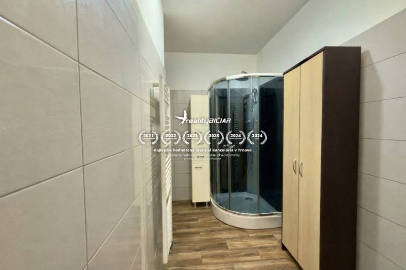 Badezimmer einer Zweizimmerwohnung mit typischer Duschkabine und Boden in Holzoptik.