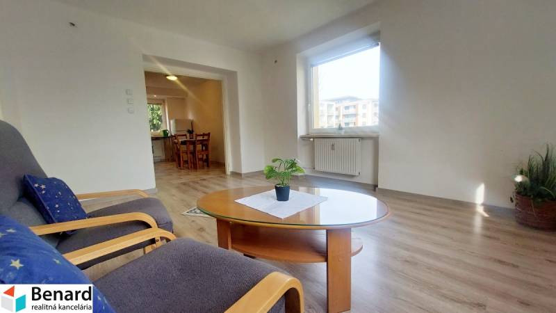Wohnzimmer einer Zweizimmerwohnung mit Fenster, Holzboden und Tisch mit Pflanze.