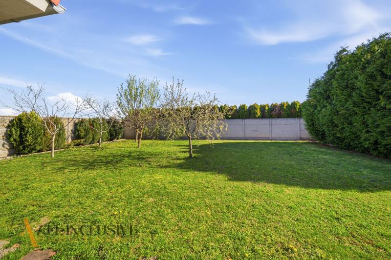 Der Garten des Einfamilienhauses in Kútniky mit Rasen und Obstbäumen.