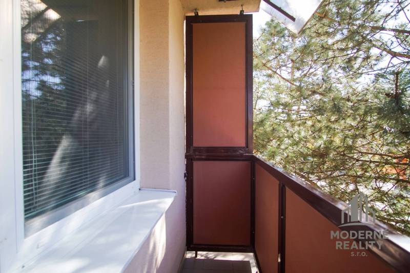Balkon einer 2-Zimmer-Wohnung mit Blick ins Grüne, Geländer, Fenster.