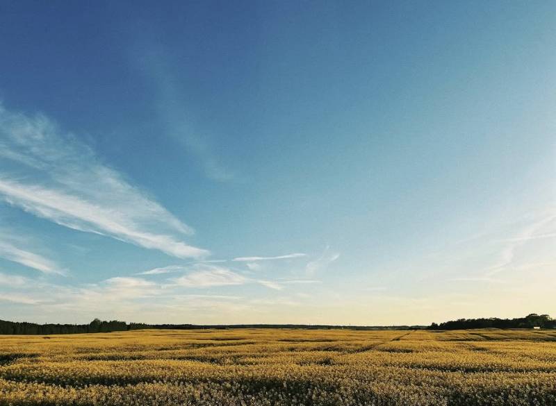 Landwirtschaftliche und forstwirtschaftliche Grundstücke in Častá mit einer weitläufigen Wiese unter blauem Himmel.