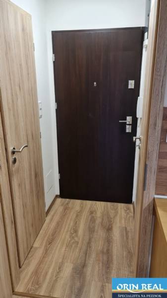 Eingangsbereich eines Einzimmerapartments mit dunklen Türen und einem Boden in Holzoptik.