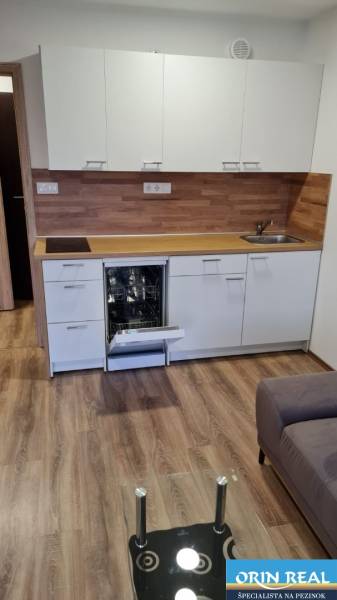 Die Küche eines Einzimmerapartments mit weißen Schränken, einer Spülmaschine und einem Boden in Holzoptik.