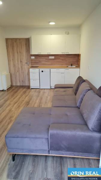 Einzimmerwohnung mit Küchenzeile, grauem Sofa und Boden in Holzoptik.
