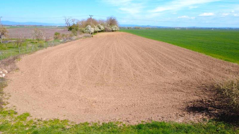 Ein orangefarbenes Feld in den Gärten von Ondrejovce, umgeben von Natur und blauem Himmel.