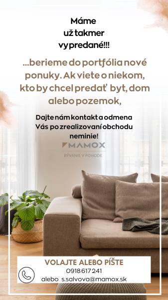 Helles Wohnzimmer mit bequemer Couch und Pflanze, 2-Zimmer-Wohnung mit Holzboden.