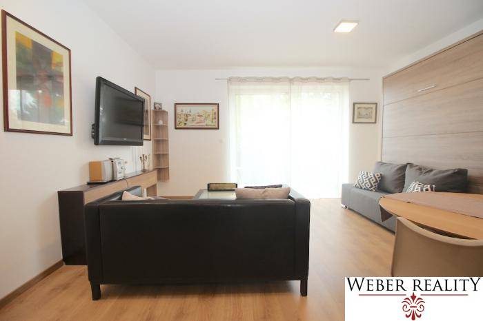 Einzimmerwohnung mit Sofa, Fernseher, Holzboden und großen Fenstern.