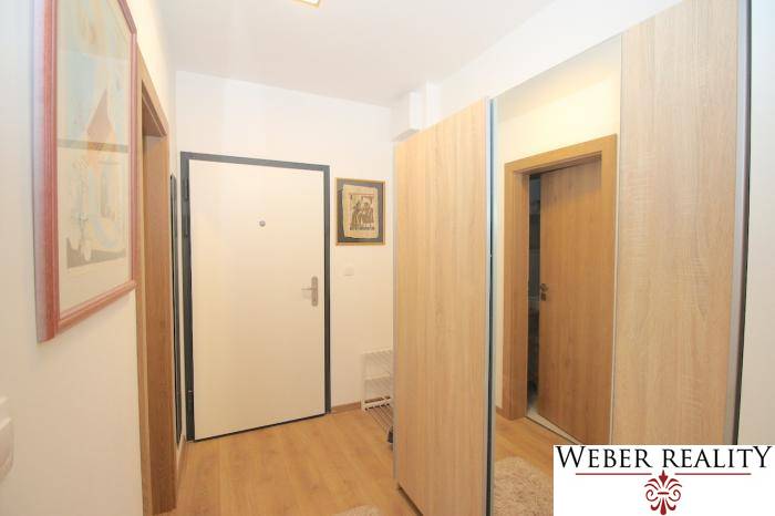 Eingangsbereich mit Holzboden in einer Einzimmerwohnung.