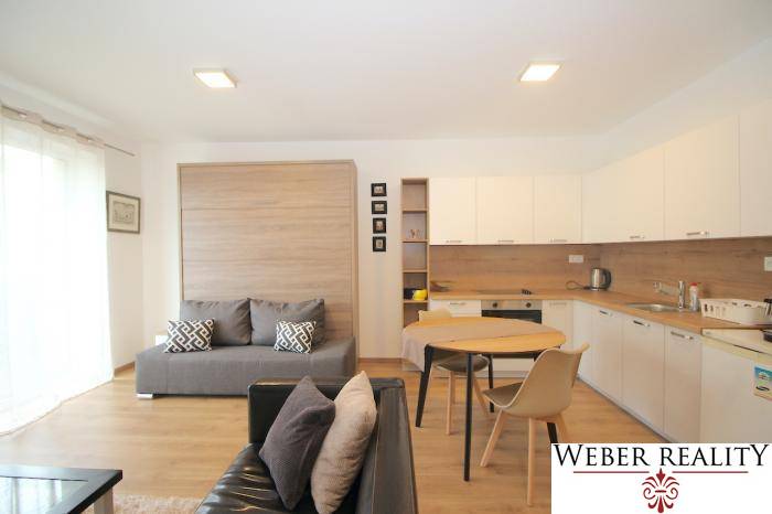 Wohnzimmer mit Küche in einer Einzimmerwohnung mit einem Boden in Holzoptik.