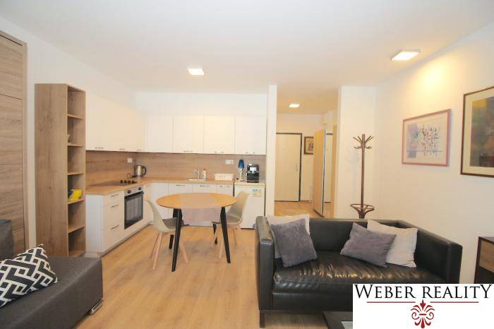 1-Zimmer-Wohnung mit Küche, Boden mit Holzdekor, Sofa und Esstisch.
