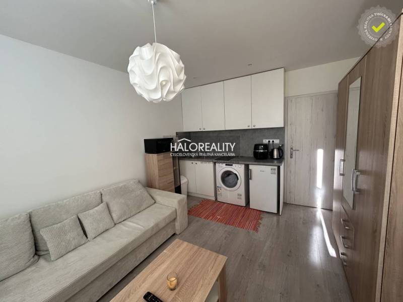 Einzimmerwohnung mit Sofa, Küchenzeile, Schrank und Holzboden.