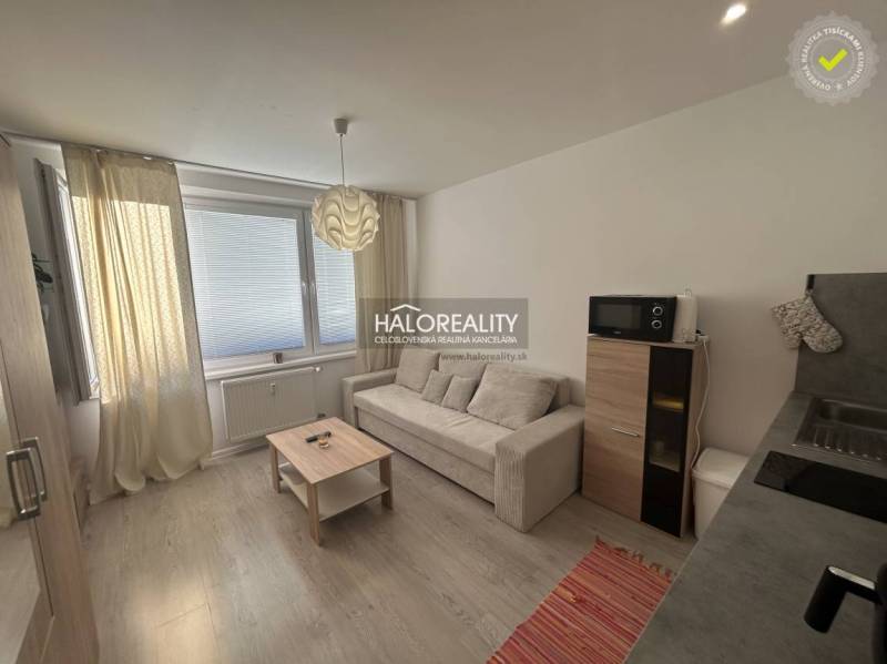 Einzimmerwohnung mit Sofa und Küche, dekoriert mit Holzboden.