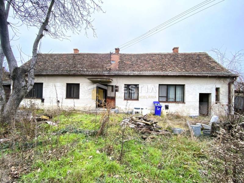 Ein altes Familienhaus erwartet eine Renovierung, im Garten gibt es wilde Vegetation und Unordnung.