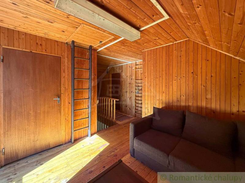 Innenraum einer Hütte mit Holzdekorverkleidung und -boden, Sofa und Leiter.