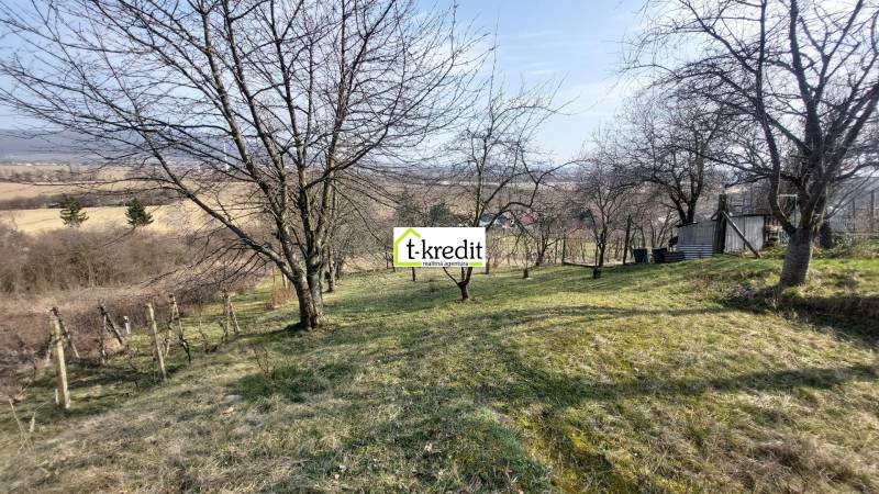 Weinberge in Zlaté Moravce mit Aussicht, Bäume und Rasenfläche.