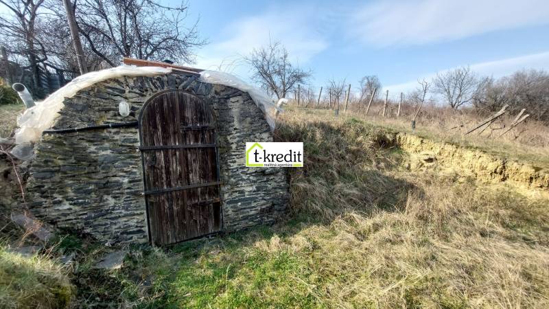 Steinerner Eingang zum Keller, umgeben von Natur in den Weinbergen in der Nähe von Zlaté Moravce.