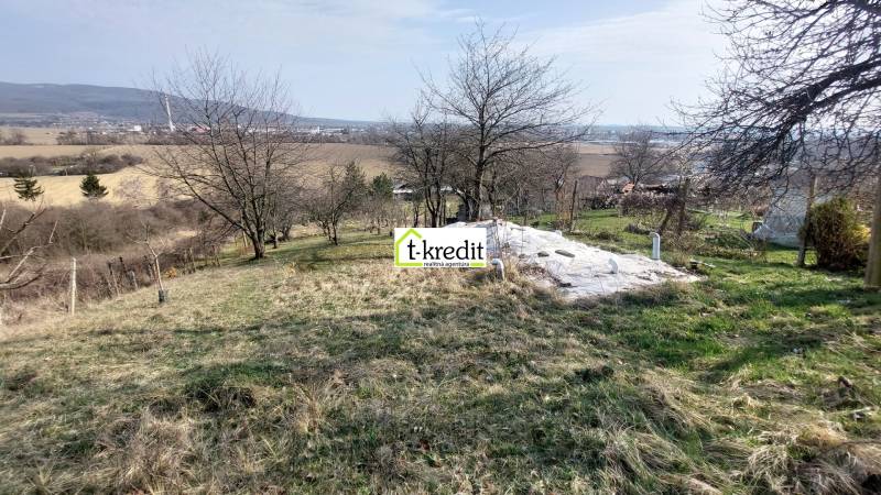 Weitläufige Weinberge bei Zlaté Moravce mit Bäumen und Blick auf Felder und Berge.