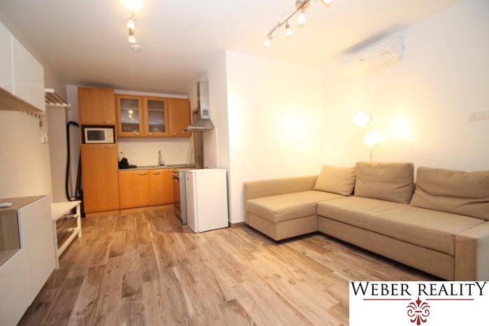 Wohnzimmer einer Einzimmerwohnung mit Kochnische und Holzboden.