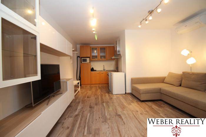 Wohnzimmer mit Küchenzeile, Sofa, Holzboden und Fernseher in einer Einzimmerwohnung.