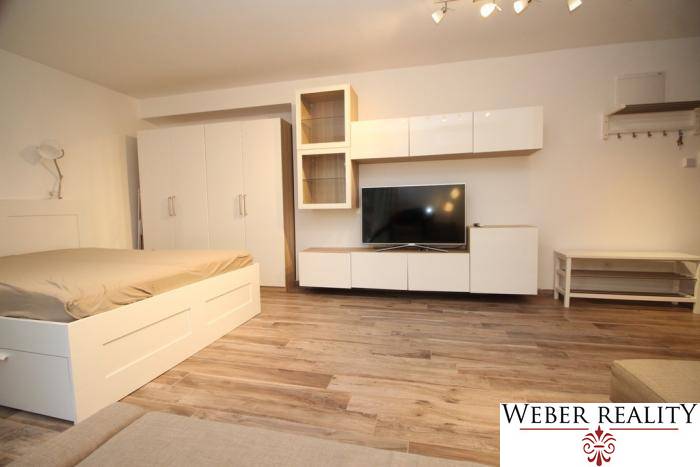 Schlafbereich mit Fernseher, Stauraum und Holzboden in einer Einzimmerwohnung.