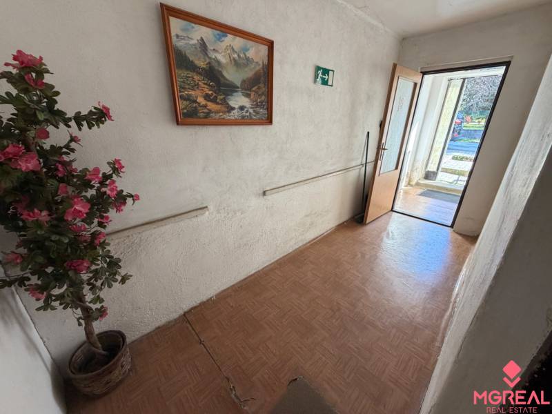 Der Flur des Einfamilienhauses mit einer Blume, einem Bild und einem Boden mit Holzdekor.