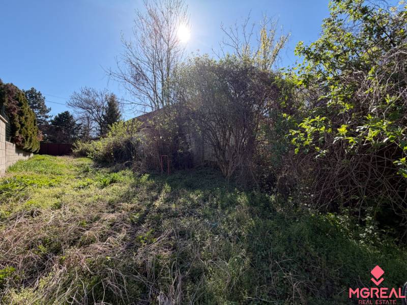 Der Garten beim Einfamilienhaus in der Farská-Straße in Horné Lefantovce, überwuchert mit Gras und Sträuchern.