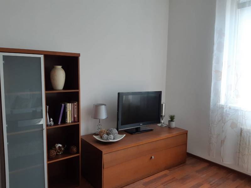 Wohnzimmer mit Holzboden, Bücherregal, Fernseher und dekorativen Gegenständen.