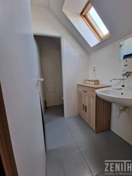 Badezimmer mit Dachfenster, hellen Fliesen und Holzmöbeldekor in Geschäftsräumen.