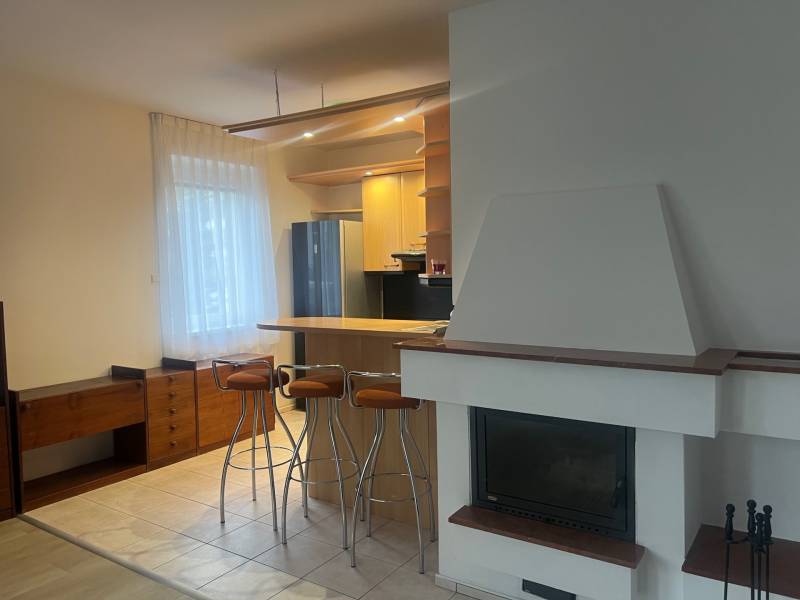 Küche in einem Einfamilienhaus mit Bar, Kamin, Holzdekor und Möbeln.