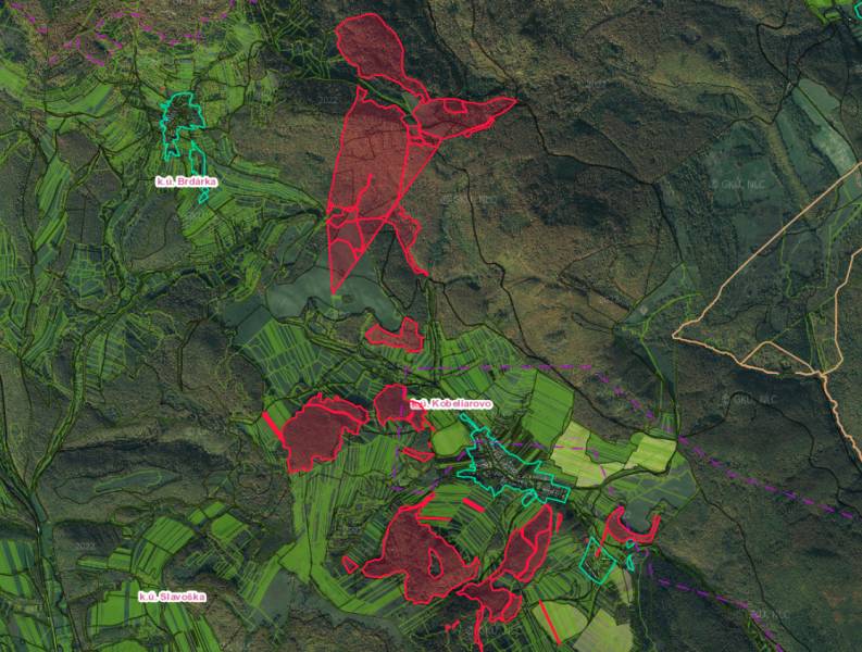Luftaufnahme von landwirtschaftlichen und forstwirtschaftlichen Flächen in der Umgebung von Kobeliarovo.