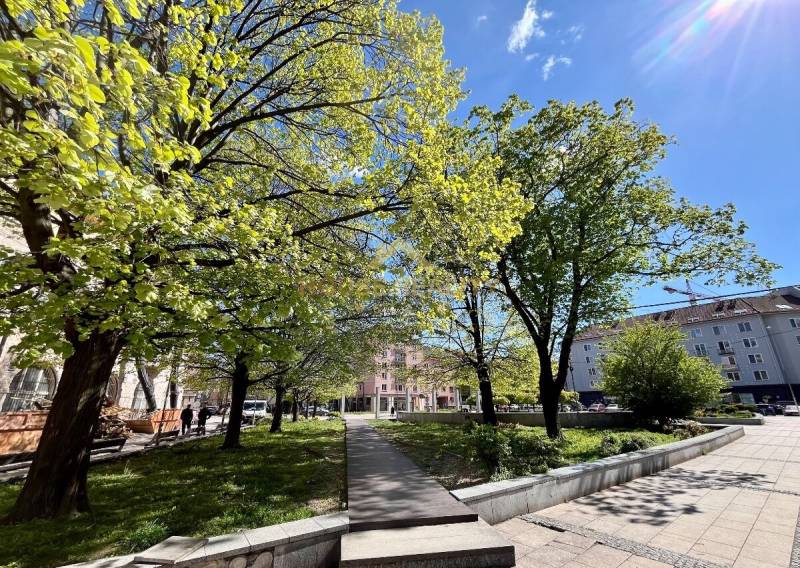 Grünflächen und Bäume auf dem Dulovo námestie in Bratislava - Ružinov bei sonnigem Wetter.